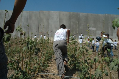 Palestinian children running toward the separation barrier. | CC via Wikimedia commons