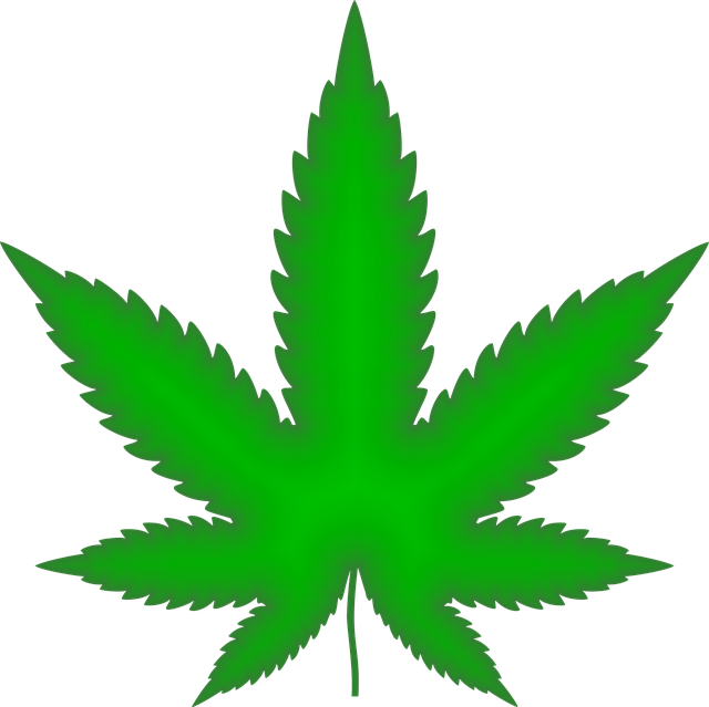 marijuana-2766343_640