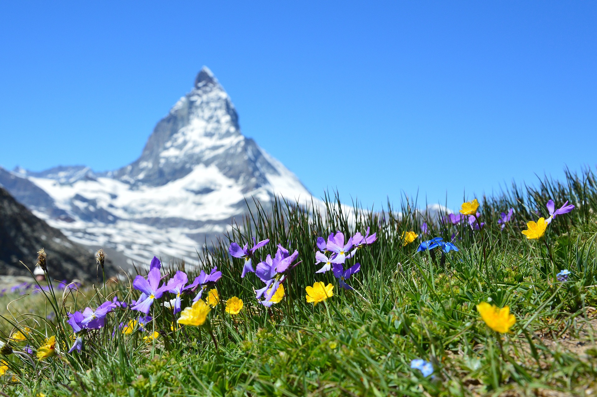 The Swiss Alps. Photo credit: Narya, Pixabay.com. 