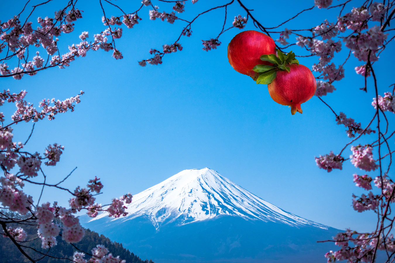 Jews of Japan