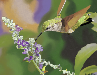 Image of a green and brown bird and a floral branch with purple and white blossoms.