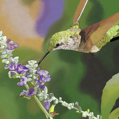 Image of a green and brown bird and a floral branch with purple and white blossoms.